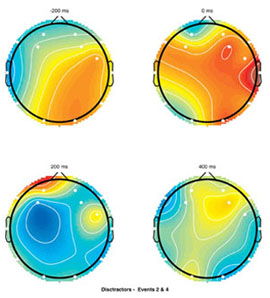 EEG Scalp Maps based on Structural Engineering Task